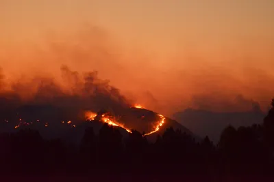 DSC_5616 (Large).JPG